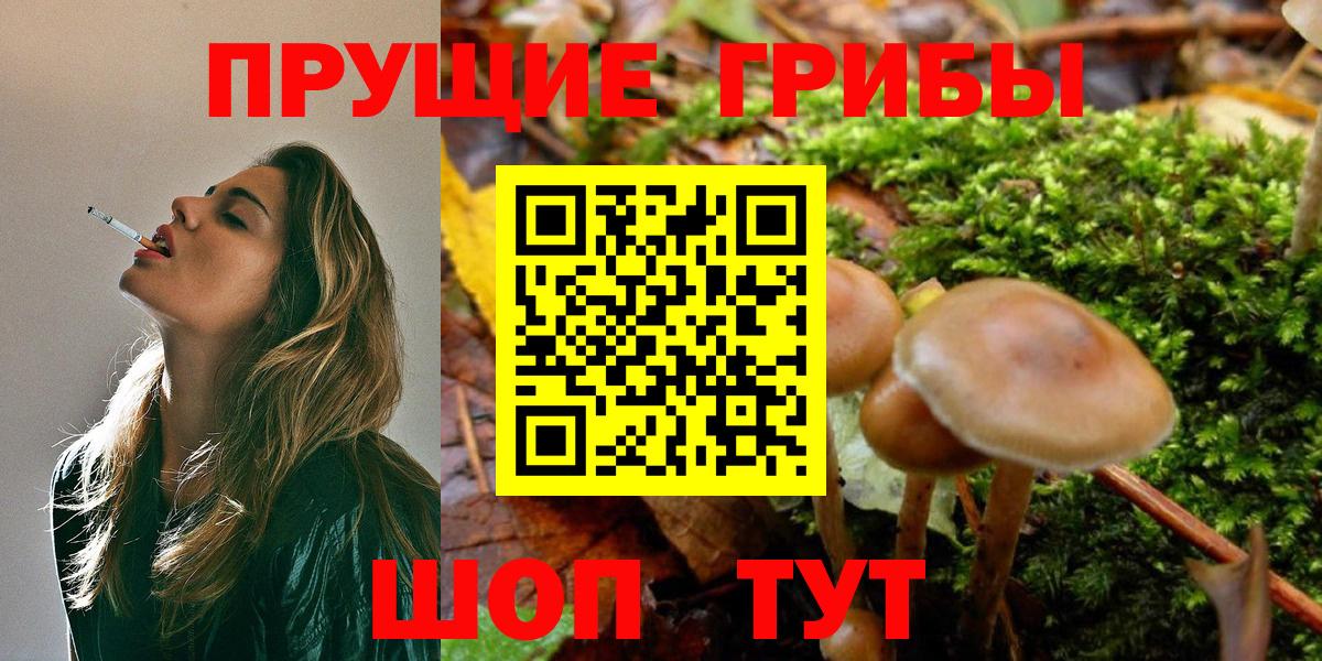 A-PVP Елец