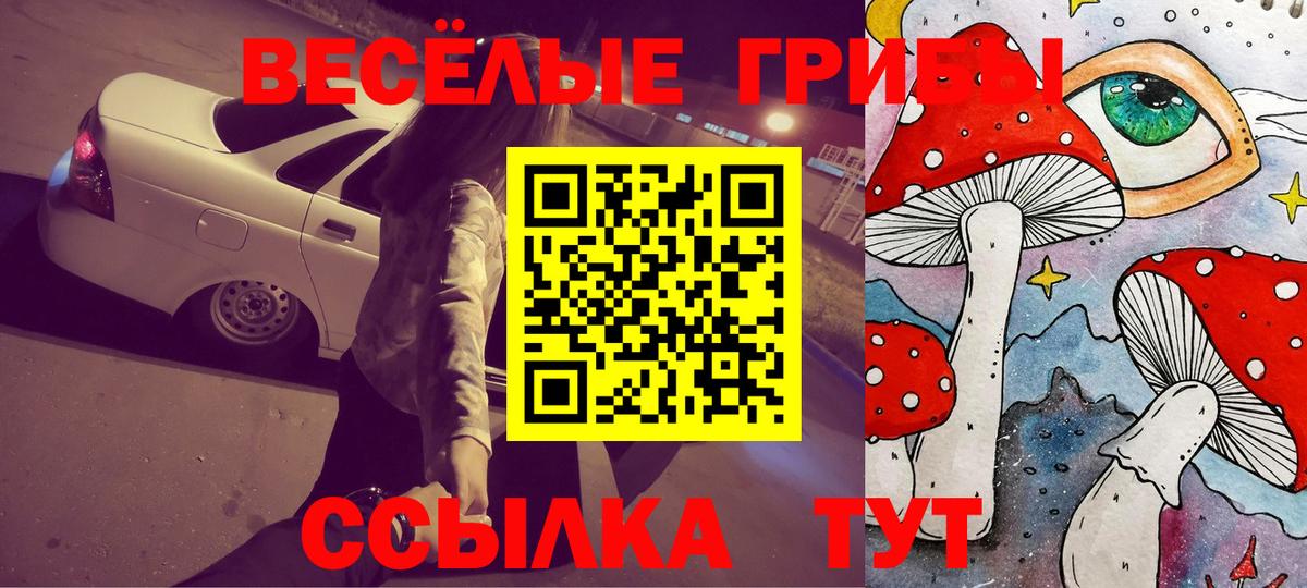 Галлюциногенные грибы GOLDEN TEACHER  Галлюциногенные грибы MAGIC MUSHROOMS  Елец  Вход с VPN 